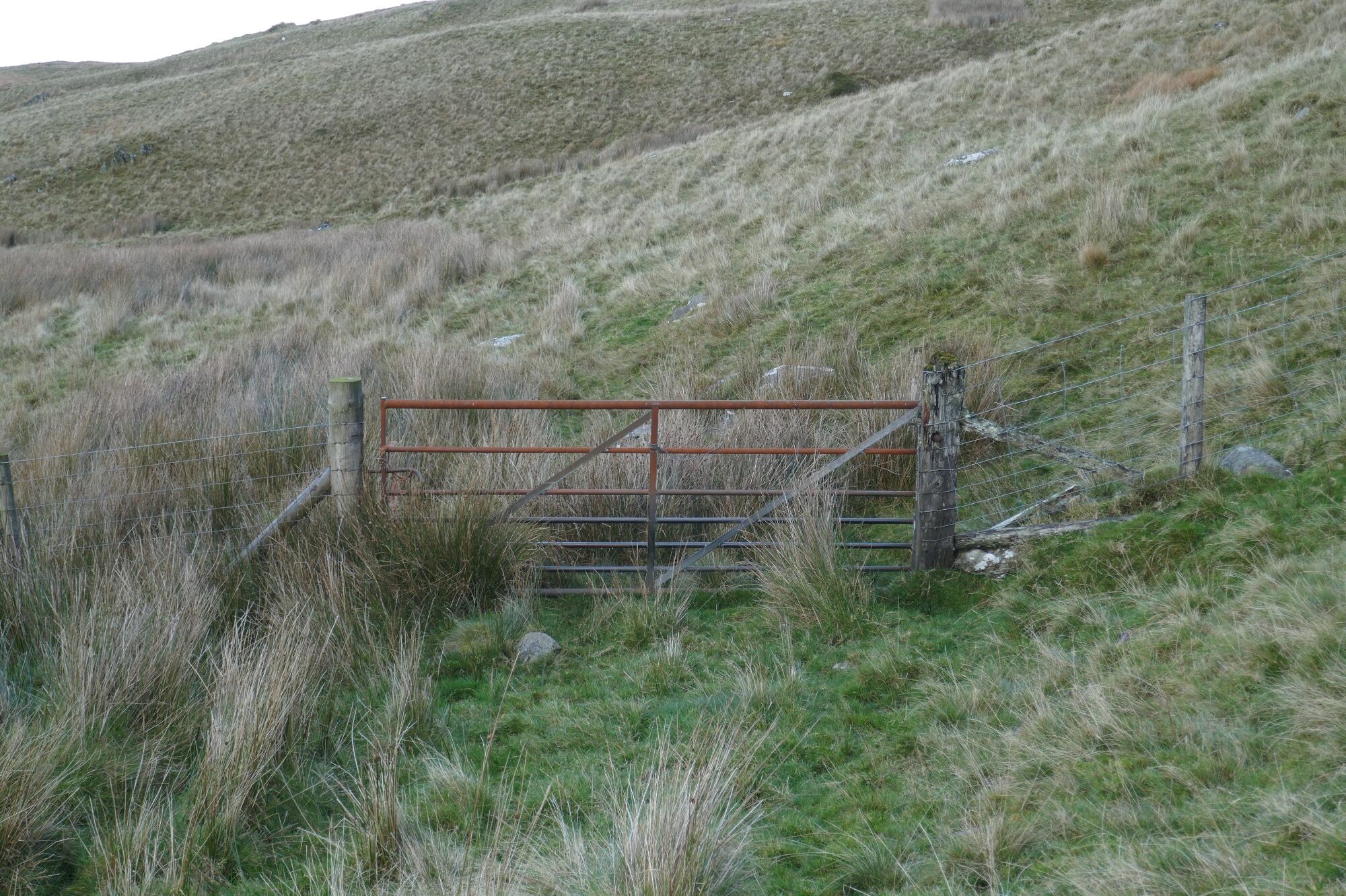 RachelSeabrook.net | Wild Walking | Cwm Hengwm | pic27